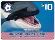 $10 card